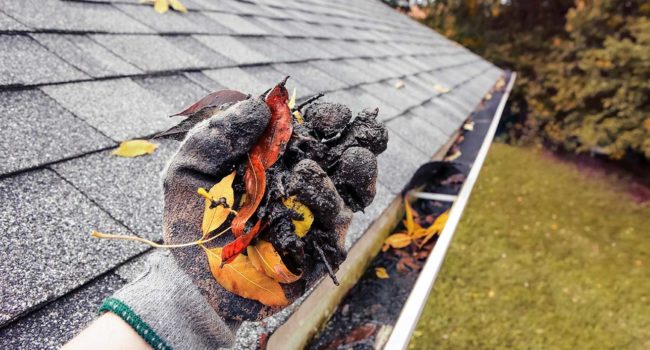 GUTTER CLEANING in Canberra