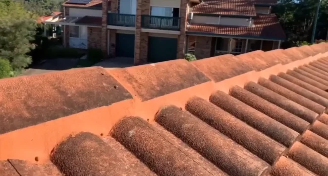 OUR SERVICES 6 Professional ridge capping repairs to prevent roof water leakage and protect your home