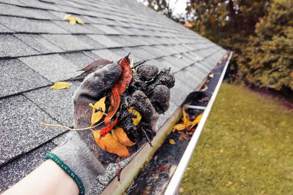 Professional gutter cleaning Canberra service ensuring clear, clog-free gutters for better roof drainage.